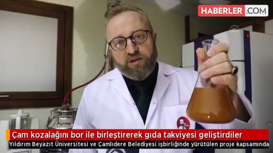 Çamlıdere kozalağından gıda takviyesi